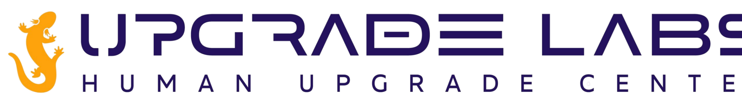 Upgrade Labs